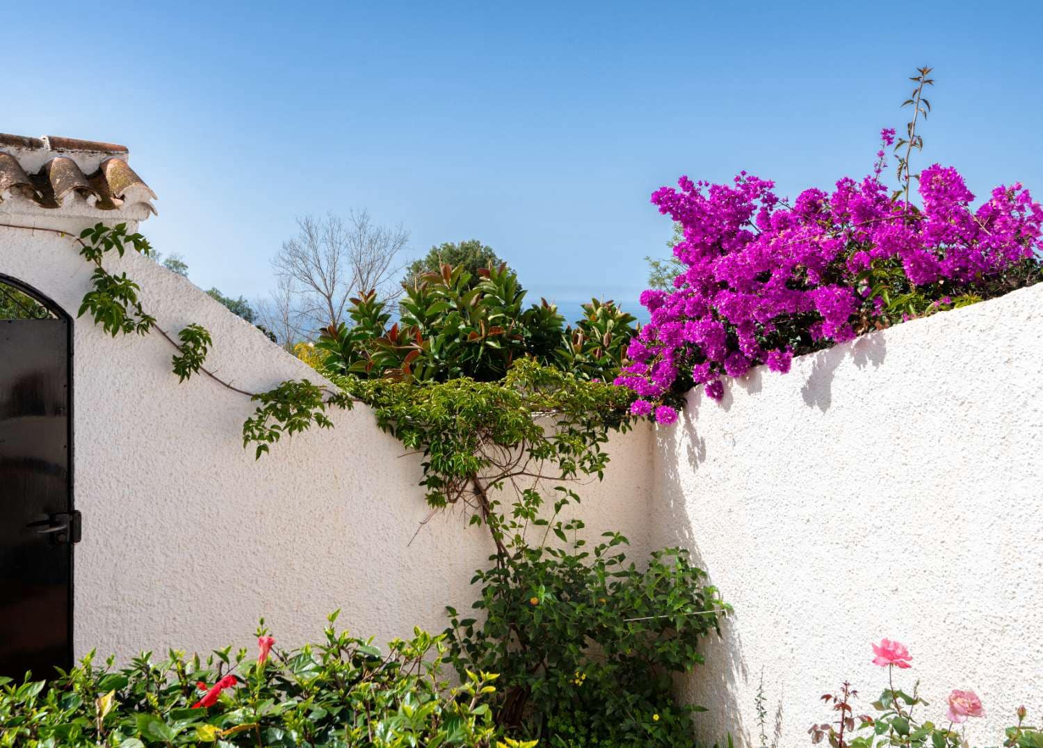 1 sovrum Strandlägenhet till salu i Nerja med pool - 230 000 € (Ref: 10023532)