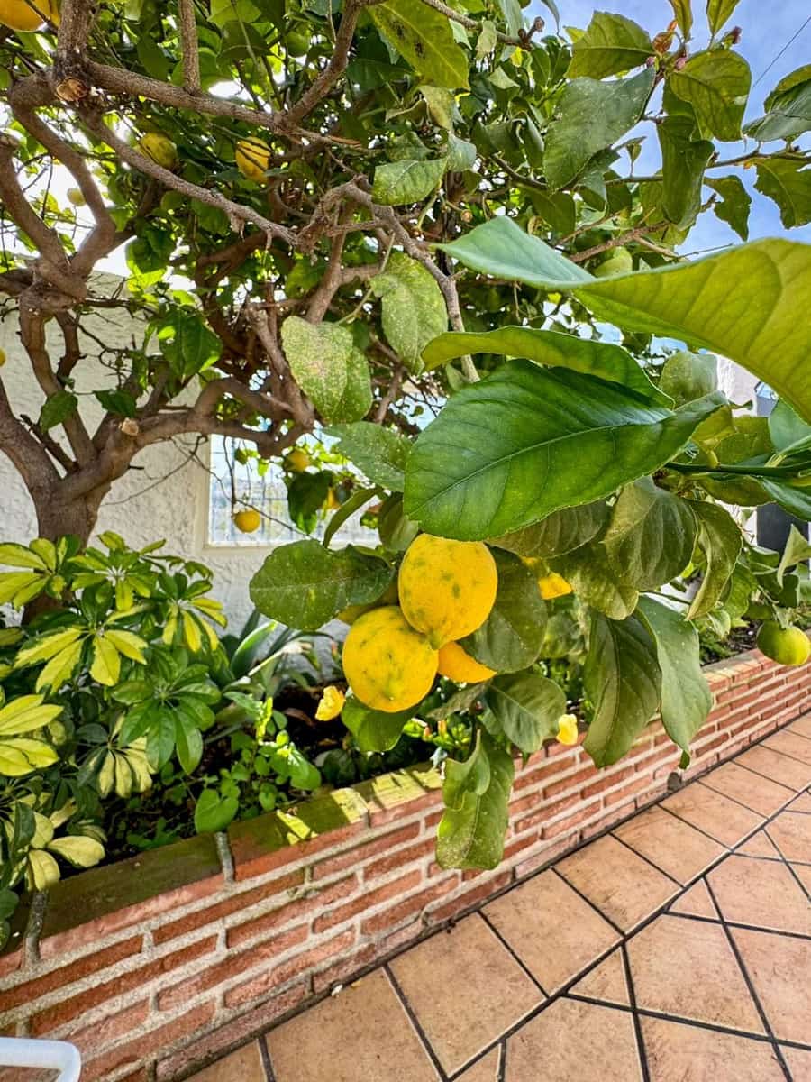 2 camera da letto Villetta a Schiera in vendita in Nerja con piscina - 360.000 € (Rif: 8789140)