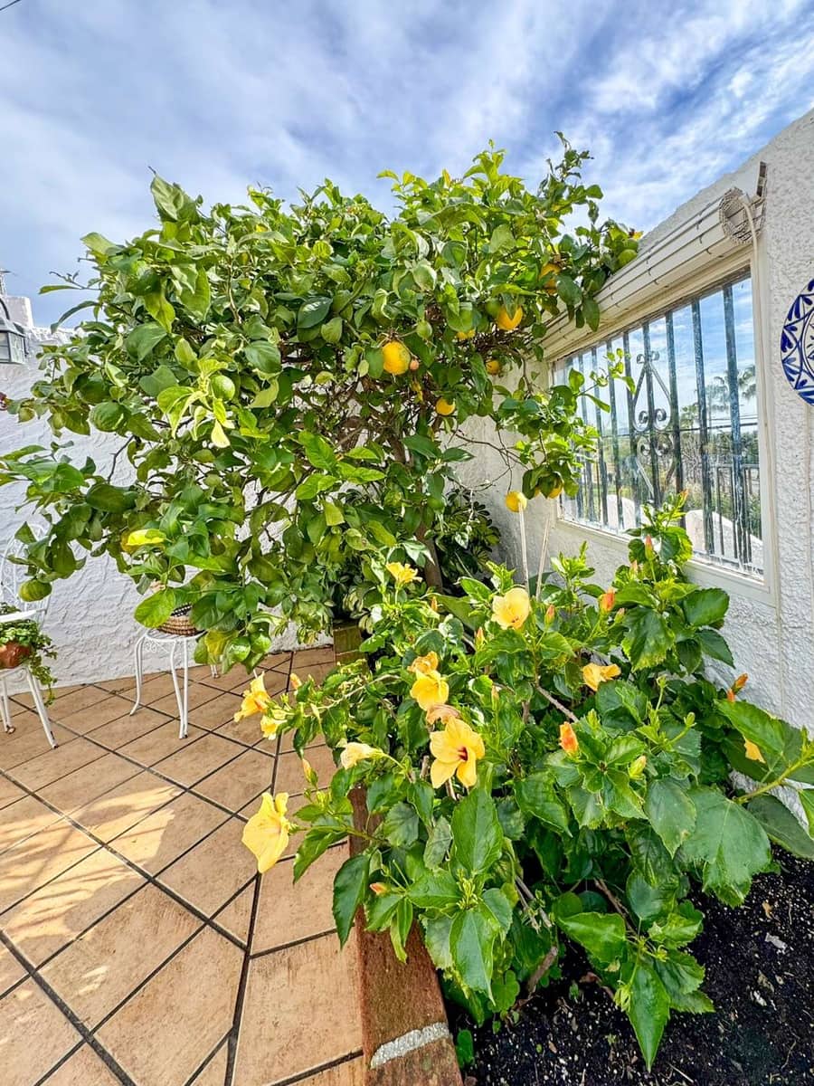 2 camera da letto Villetta a Schiera in vendita in Nerja con piscina - 360.000 € (Rif: 8789140)