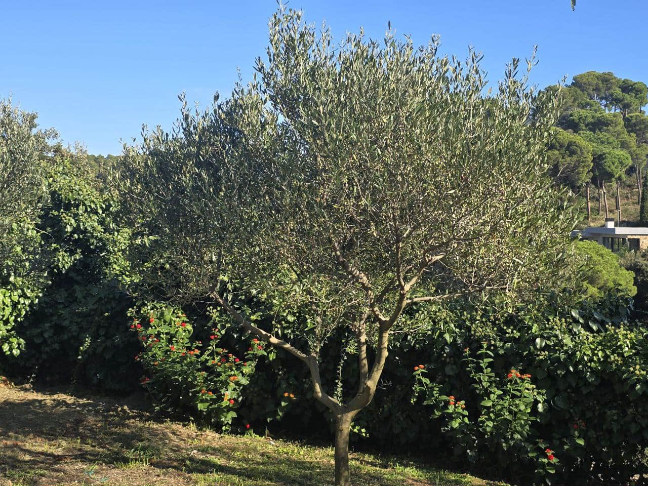 6 soveværelse Villa til salg i Begur med swimmingpool garage - € 650.000 (Ref: 9645682)