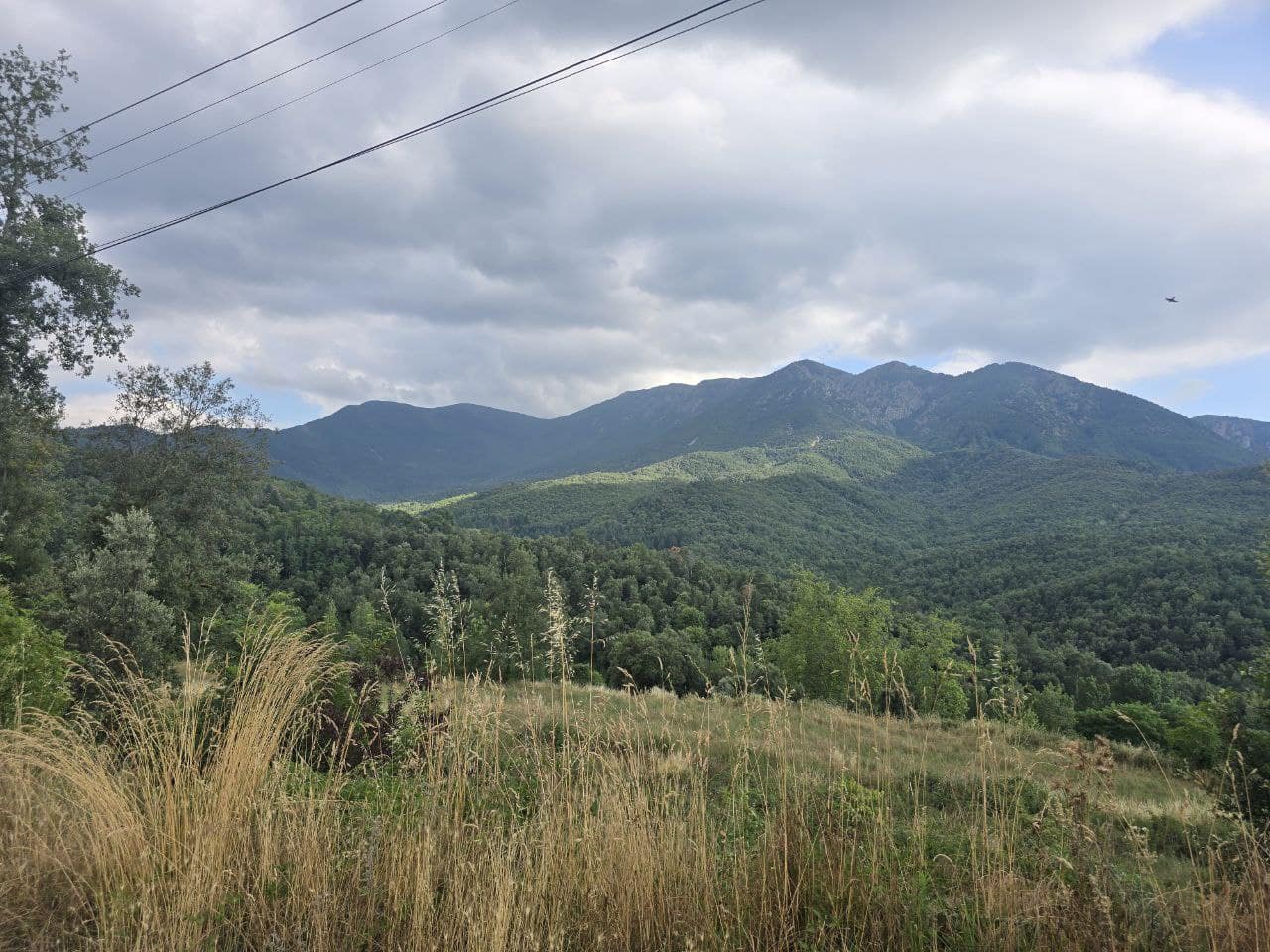 Undeveloped Land for sale in Viladrau - € 139,000 (Ref: 9645686)