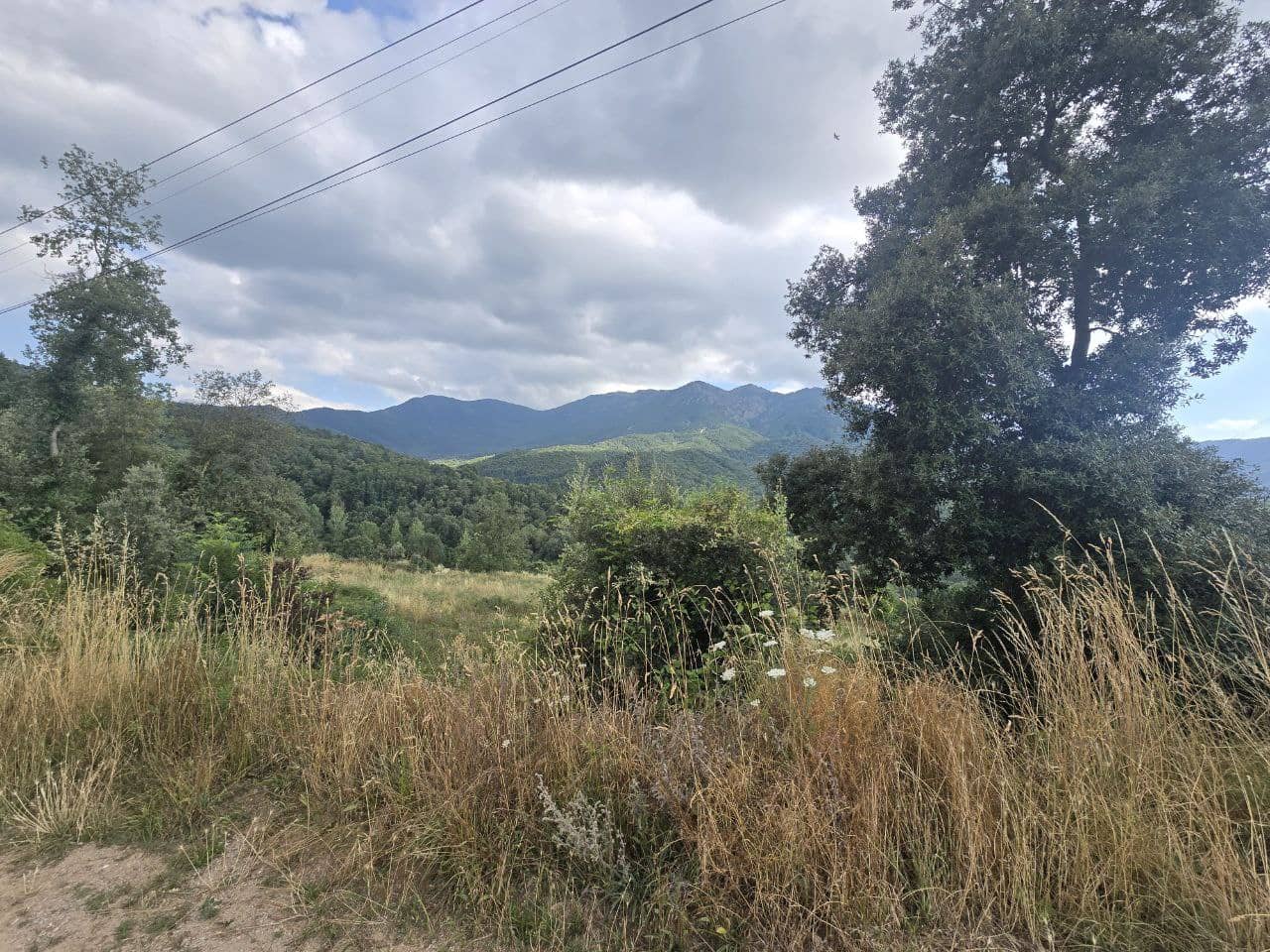 Undeveloped Land for sale in Viladrau - € 139,000 (Ref: 9645686)