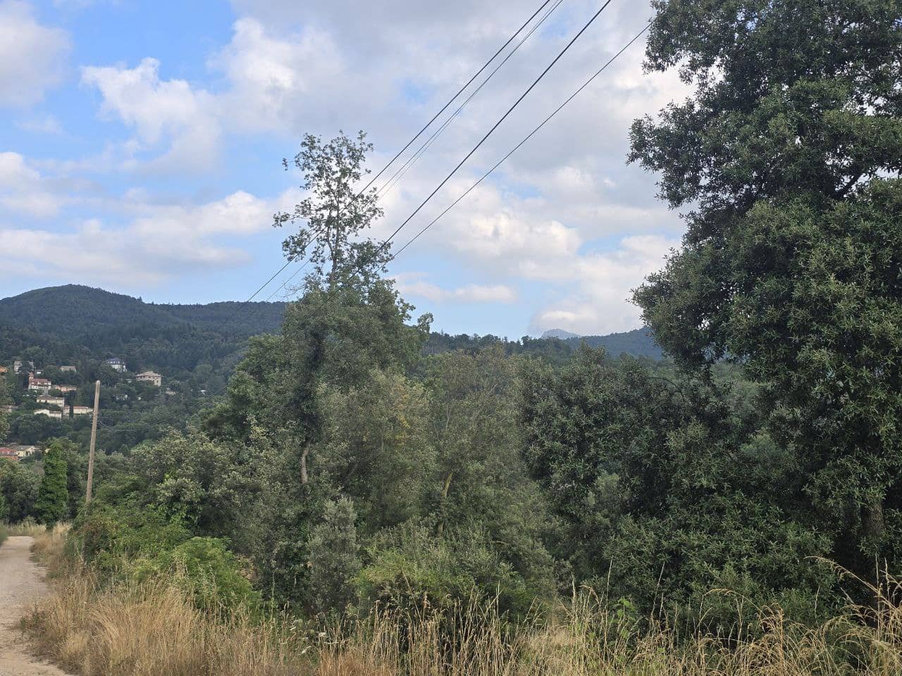 Undeveloped Land for sale in Viladrau - € 139,000 (Ref: 9645686)