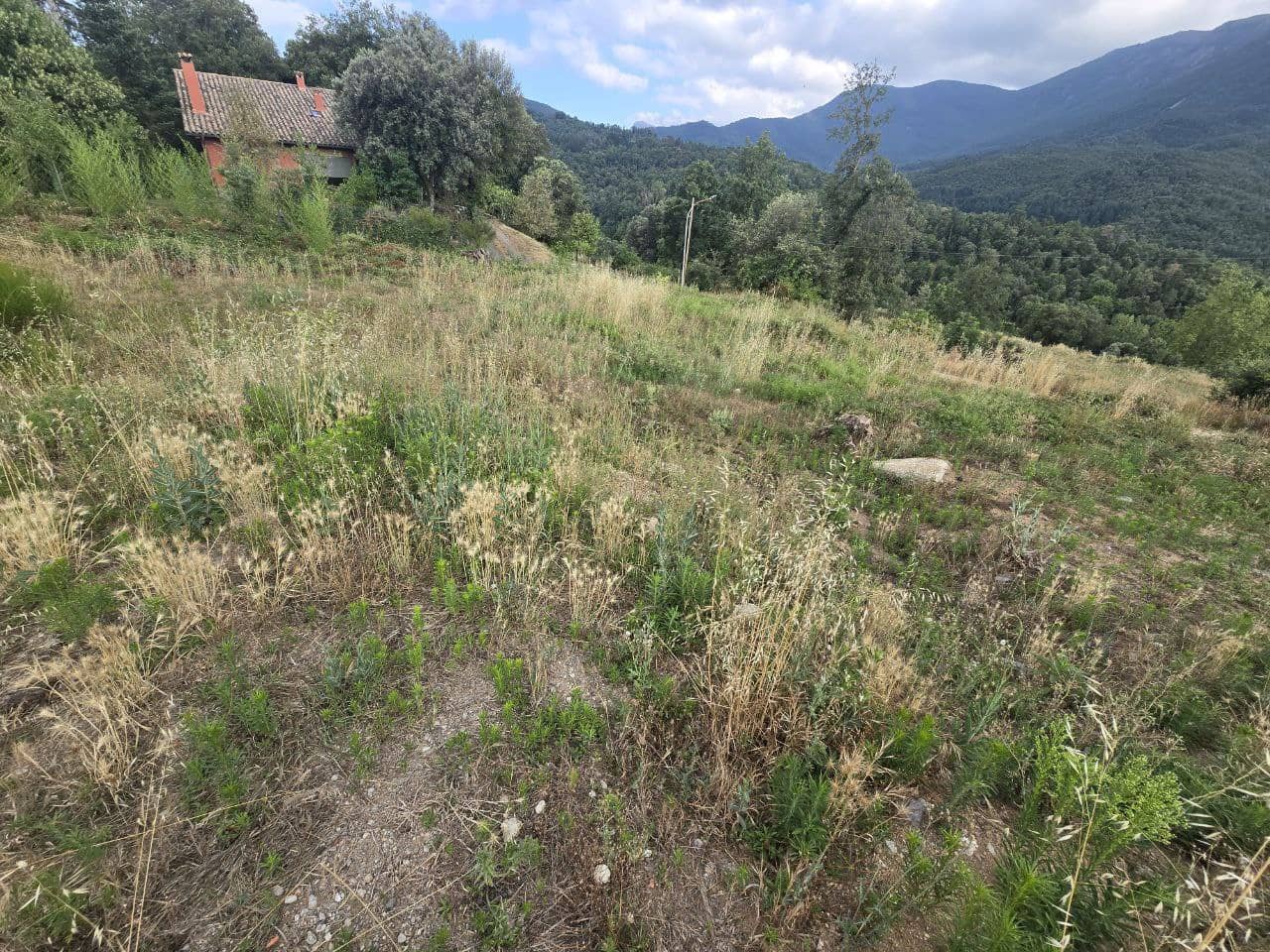 Undeveloped Land for sale in Viladrau - € 139,000 (Ref: 9645686)
