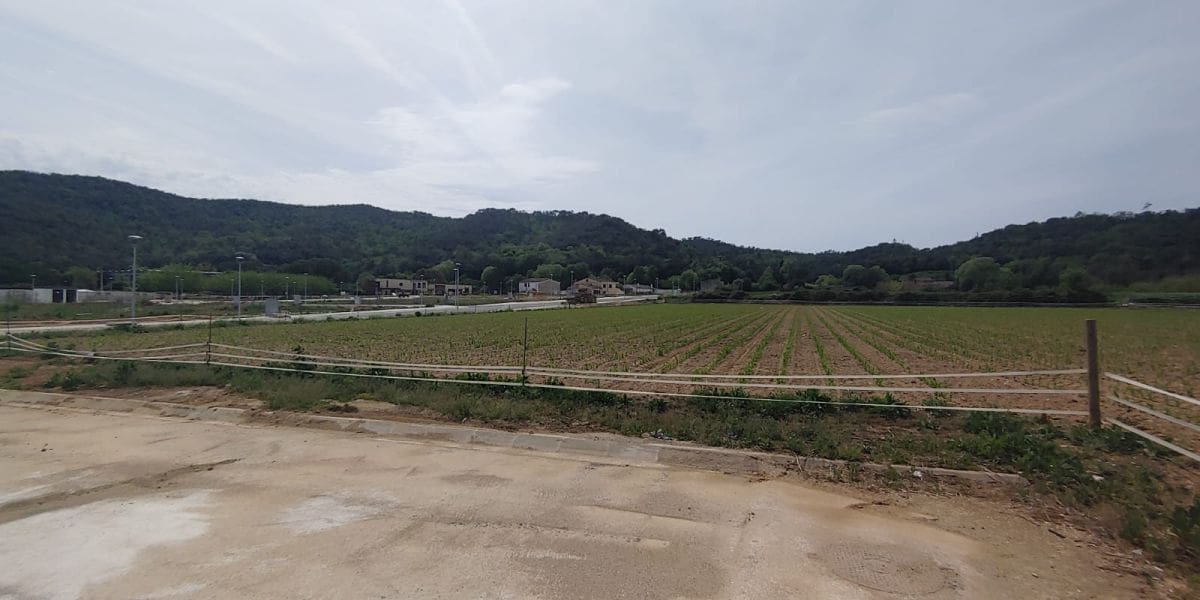 Mark till salu i Bescano - 195 000 € (Ref: 9645690)