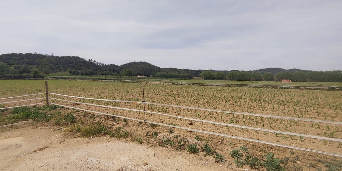 Mark till salu i Bescano - 195 000 € (Ref: 9645690)