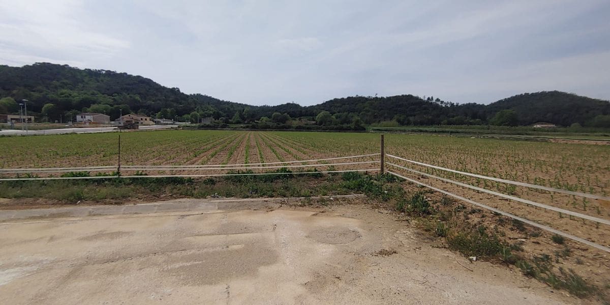 Mark till salu i Bescano - 195 000 € (Ref: 9645690)