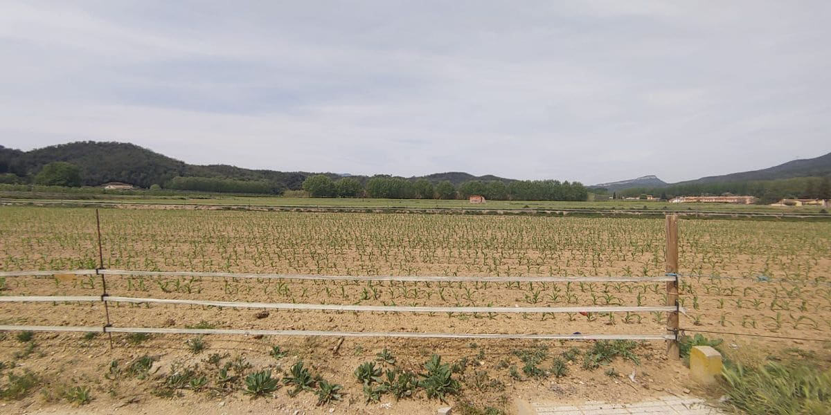 Mark till salu i Bescano - 195 000 € (Ref: 9645690)