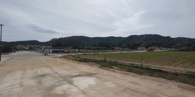 Terre non Aménagée à vendre à Bescanó - 195 000 € (Ref: 9645690)