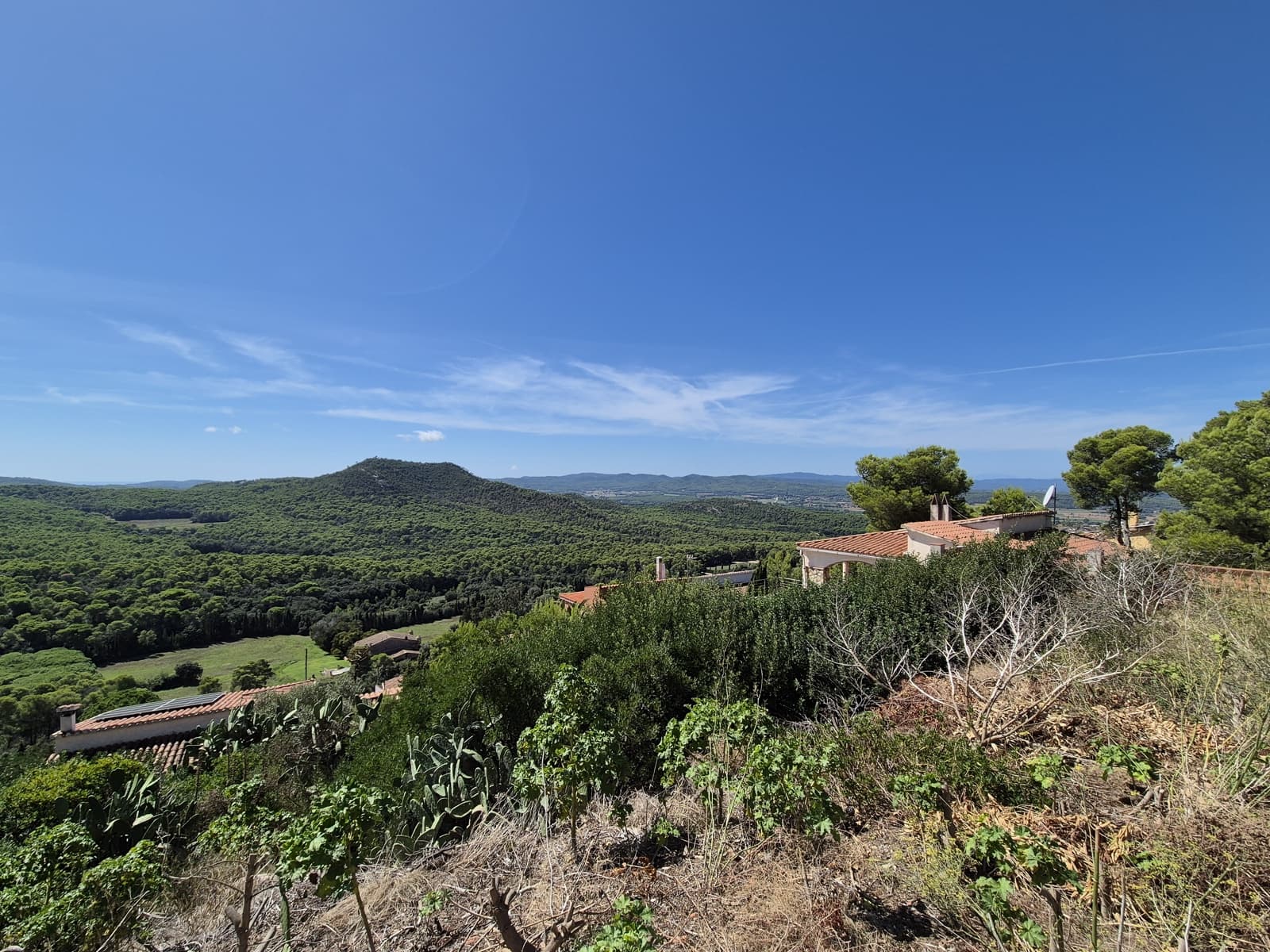 Undeveloped Land for sale in Pals - € 220,000 (Ref: 9645691)
