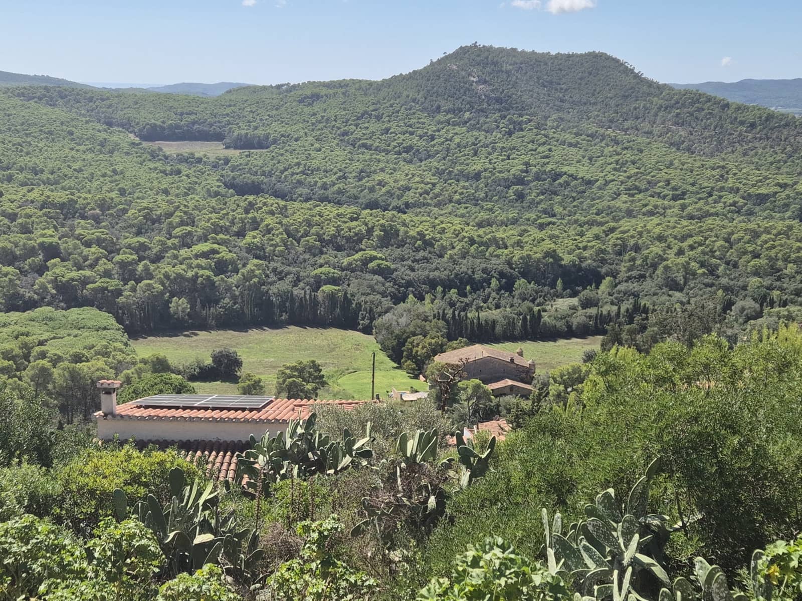 Landgrundstück zu verkaufen in Pals - 220.000 € (Ref: 9645691)