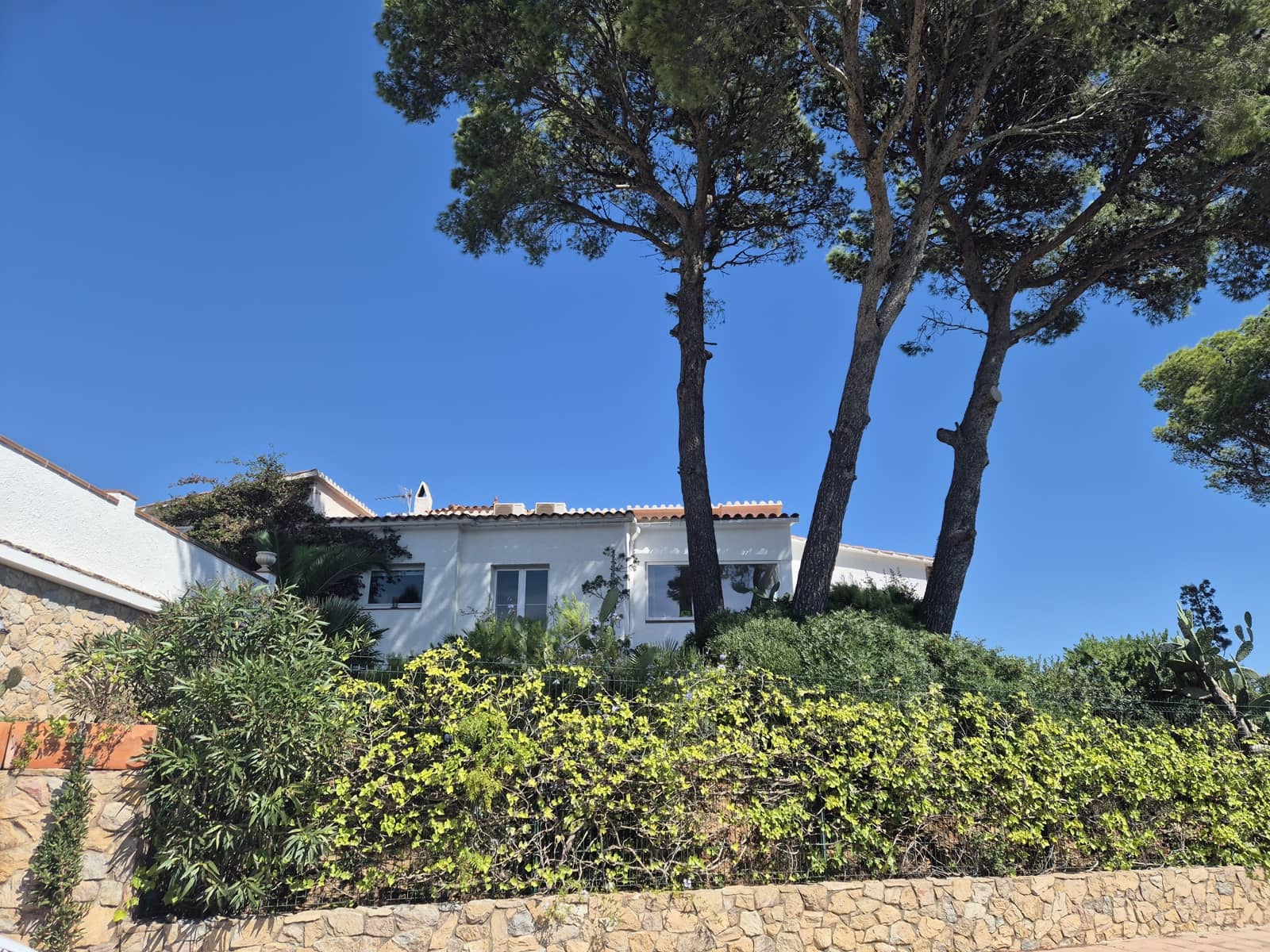 Landgrundstück zu verkaufen in Pals - 220.000 € (Ref: 9645691)