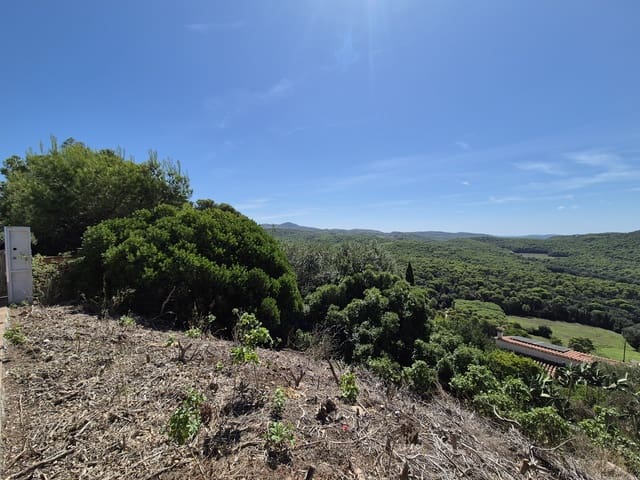 Terreno Non Edificato in vendita in Pals - 220.000 € (Rif: 9645691)