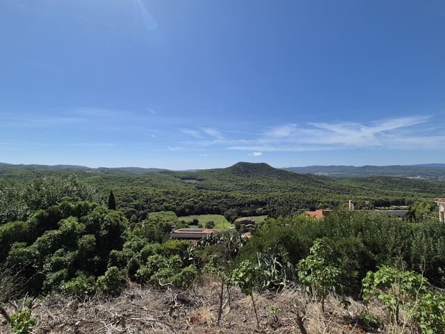 Terreno Non Edificato in vendita in Pals - 220.000 € (Rif: 9645691)