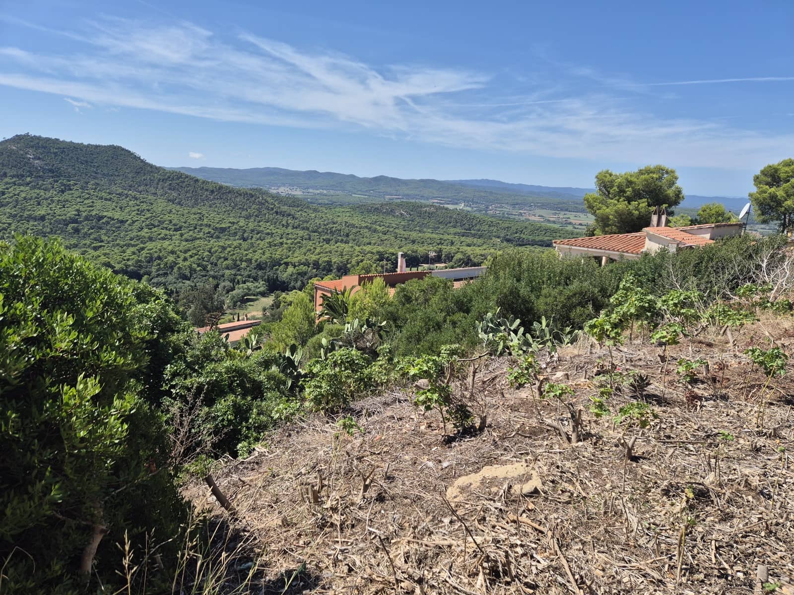 Landgrundstück zu verkaufen in Pals - 220.000 € (Ref: 9645691)