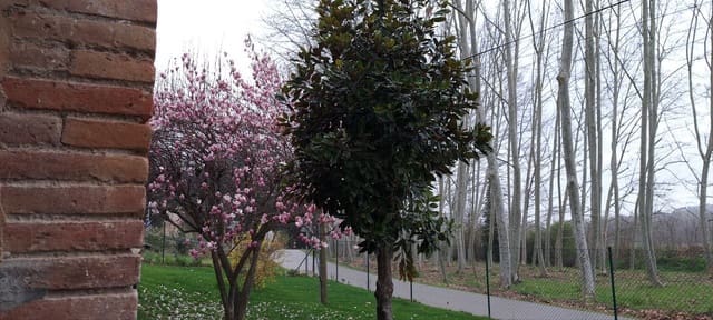 5 soverom Finca/Herregård til salgs i Sant Gregori med garasje - € 650 000 (Ref: 9645694)