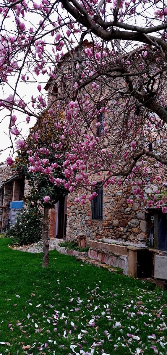 5 quarto Quinta/Casa Rural para venda em Sant Gregori com garagem - 650 000 € (Ref: 9645694)