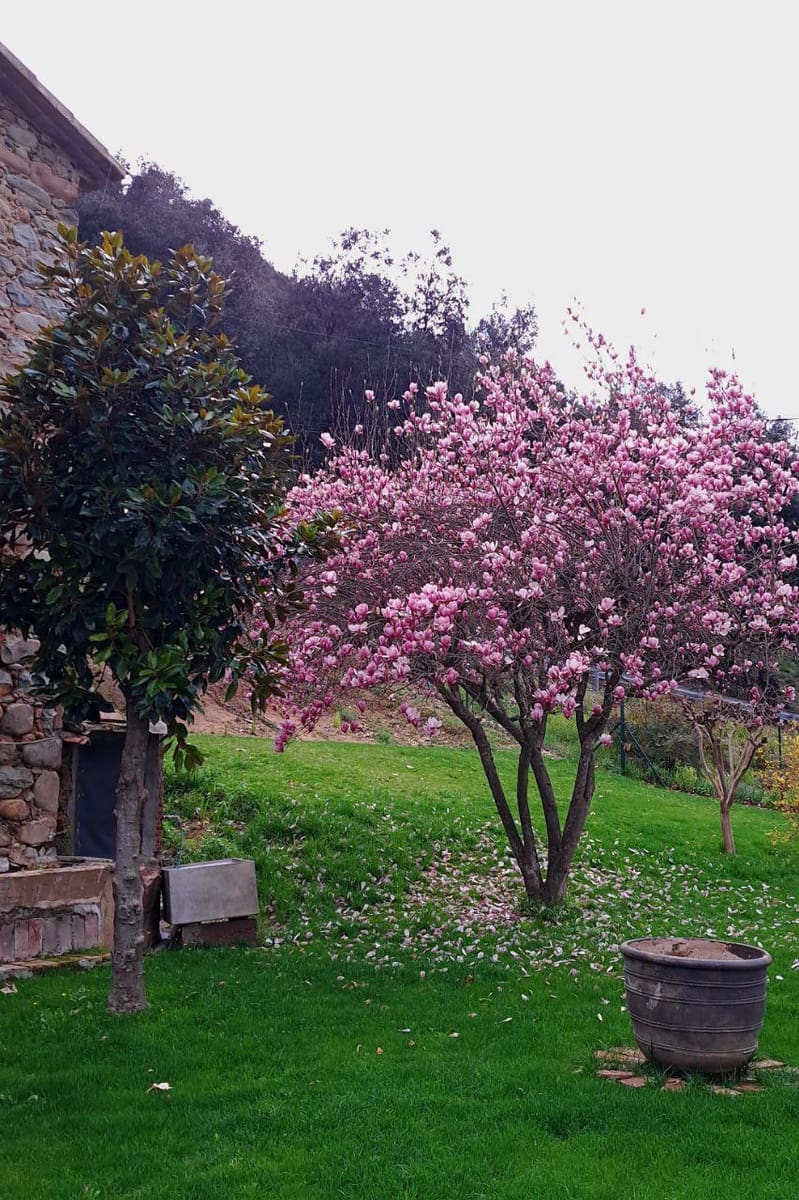 5 quarto Quinta/Casa Rural para venda em Sant Gregori com garagem - 650 000 € (Ref: 9645694)