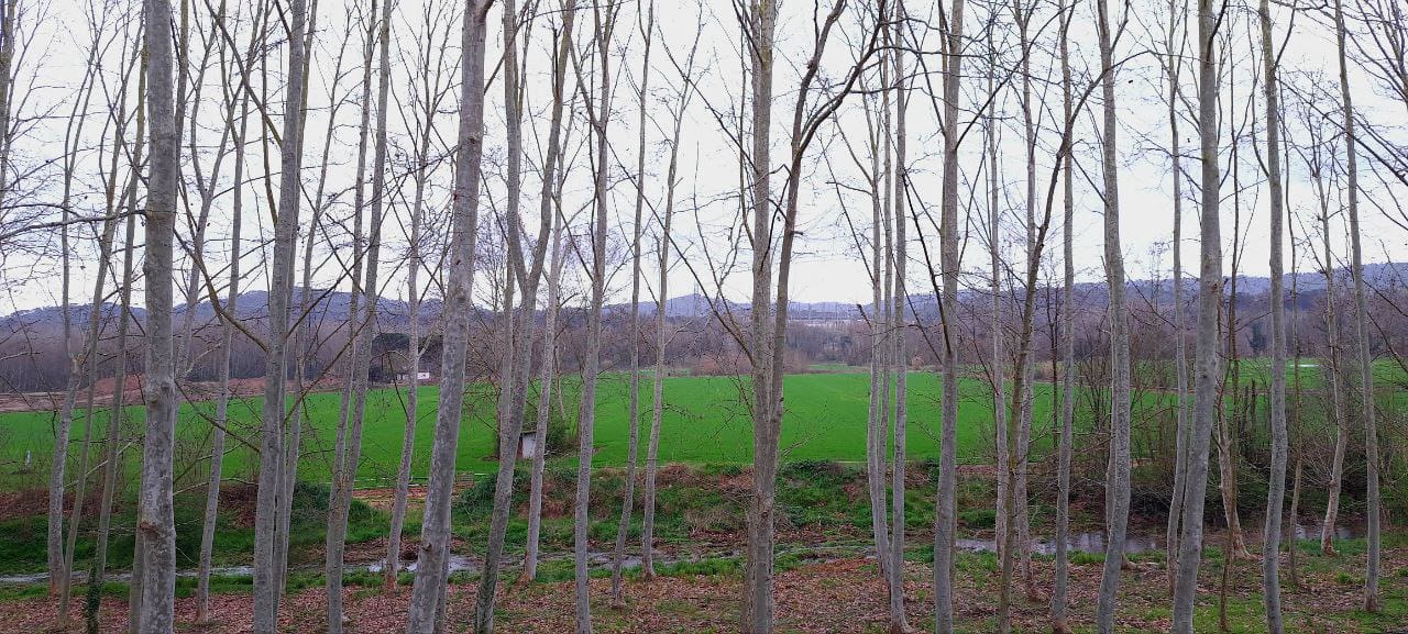 5 quarto Quinta/Casa Rural para venda em Sant Gregori com garagem - 650 000 € (Ref: 9645694)