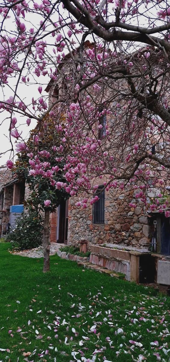 5 slaapkamer Finca/Landhuis te koop in Sant Gregori - € 650.000 (Ref: 9645694)