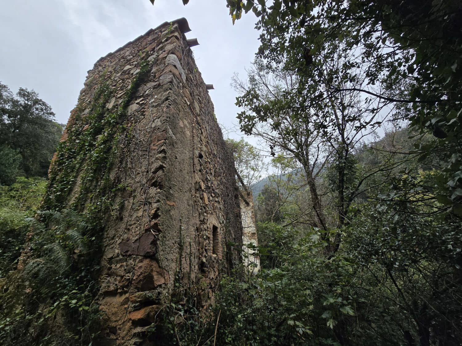 Terreno Não Urbanizado para venda em Susqueda - 169 000 € (Ref: 9645697)