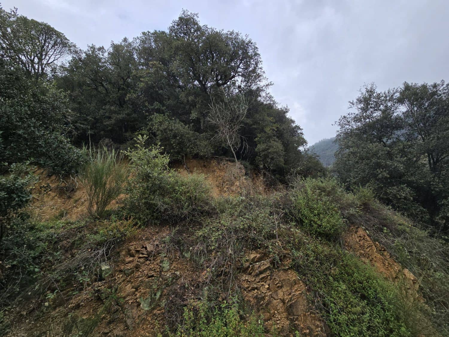 Terreno Não Urbanizado para venda em Susqueda - 169 000 € (Ref: 9645697)