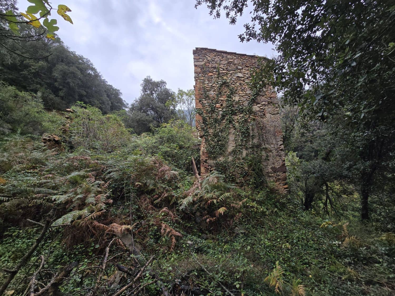 Terreno Não Urbanizado para venda em Susqueda - 169 000 € (Ref: 9645697)