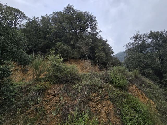 Undeveloped Land for sale in Susqueda - € 169,000 (Ref: 9645697)