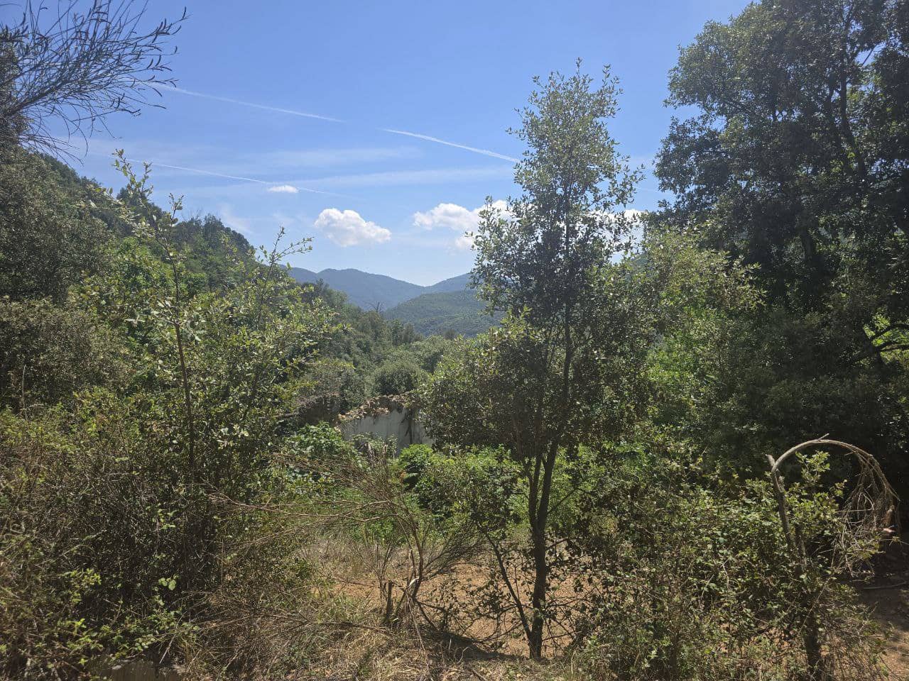 Terreno Não Urbanizado para venda em Susqueda - 169 000 € (Ref: 9645697)