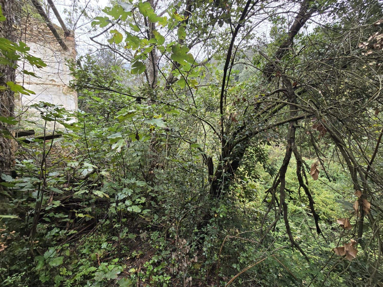 Terreno Não Urbanizado para venda em Susqueda - 169 000 € (Ref: 9645697)