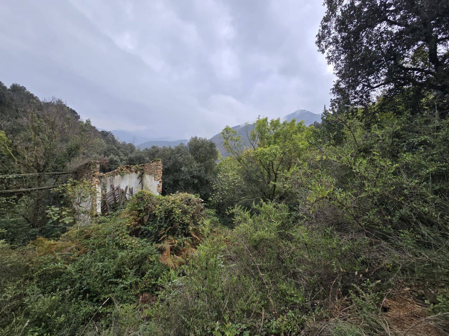 Terreno Não Urbanizado para venda em Susqueda - 169 000 € (Ref: 9645697)