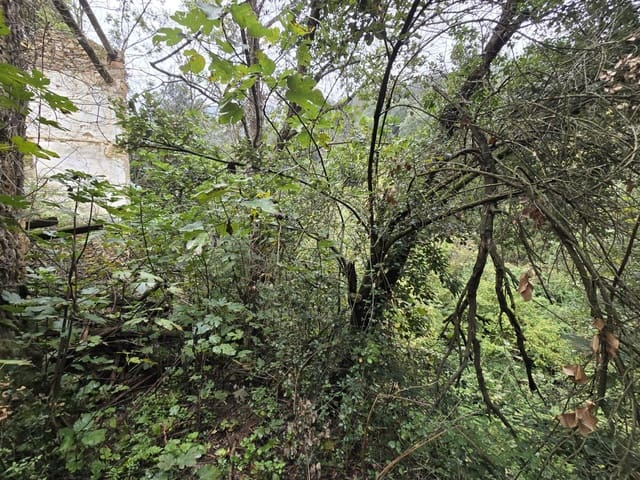 Undeveloped Land for sale in Susqueda - € 169,000 (Ref: 9645697)