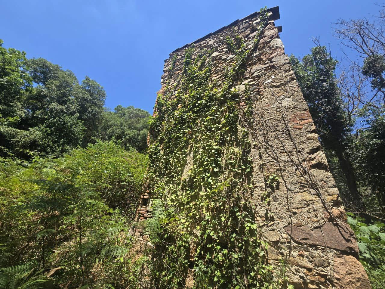 Terreno Não Urbanizado para venda em Susqueda - 169 000 € (Ref: 9645697)