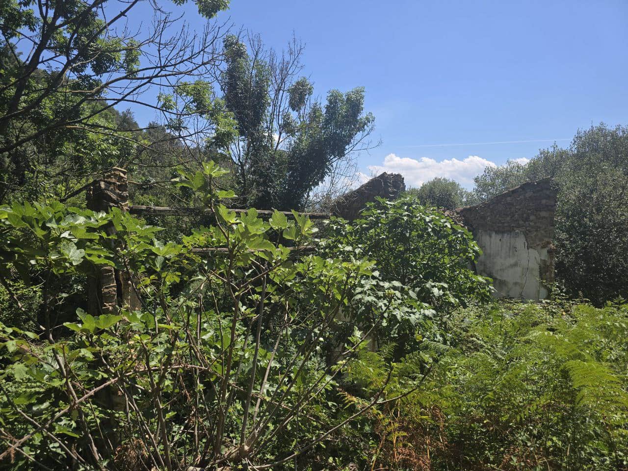 Terreno Não Urbanizado para venda em Susqueda - 169 000 € (Ref: 9645697)