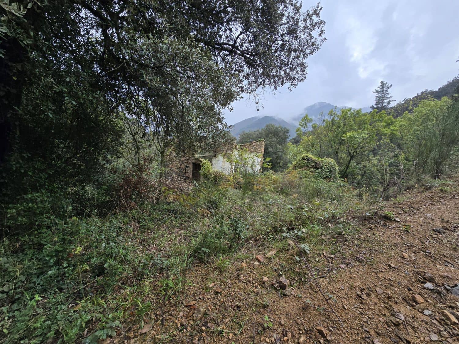 Terreno Não Urbanizado para venda em Susqueda - 169 000 € (Ref: 9645697)