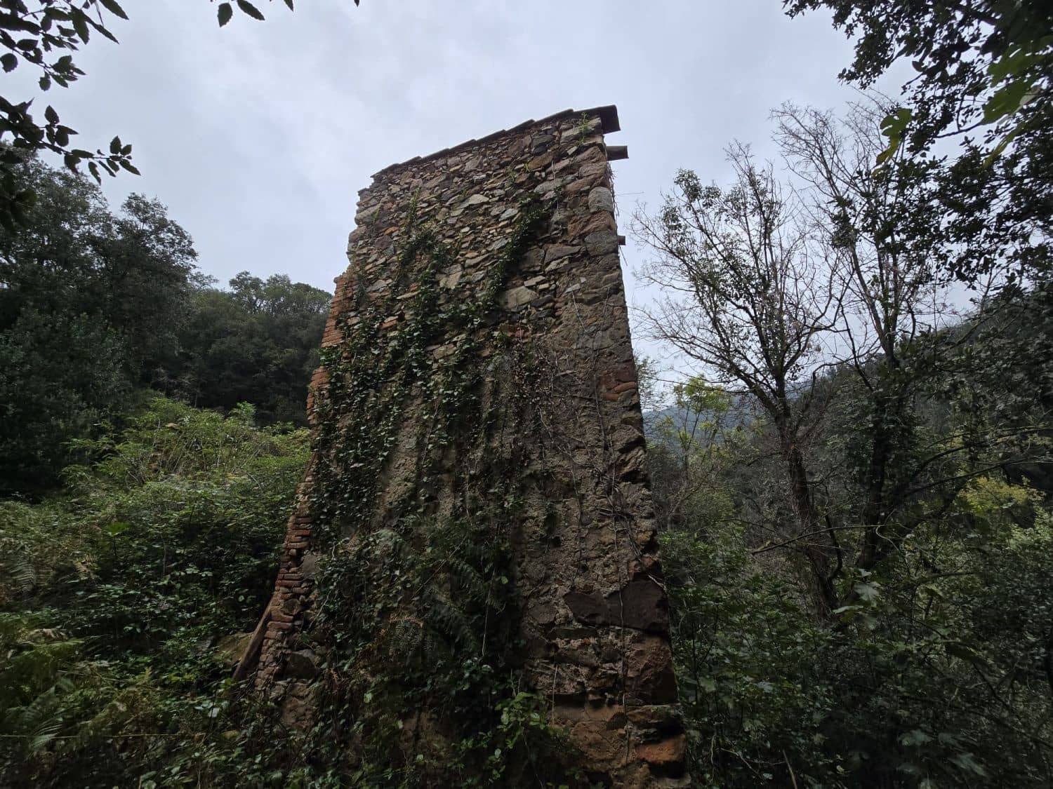 Terreno Não Urbanizado para venda em Susqueda - 169 000 € (Ref: 9645697)