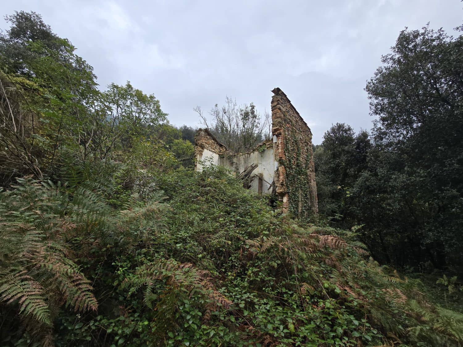 Terreno Não Urbanizado para venda em Susqueda - 169 000 € (Ref: 9645697)