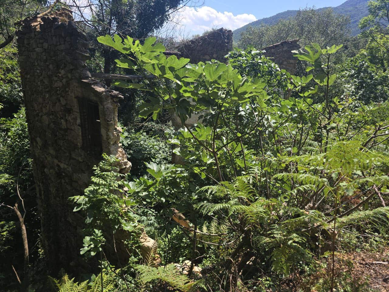 Terreno Não Urbanizado para venda em Susqueda - 169 000 € (Ref: 9645697)