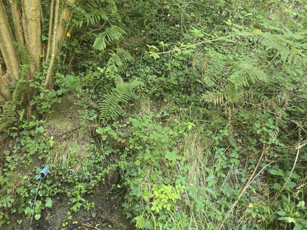 Terreno Não Urbanizado para venda em Susqueda - 169 000 € (Ref: 9645697)