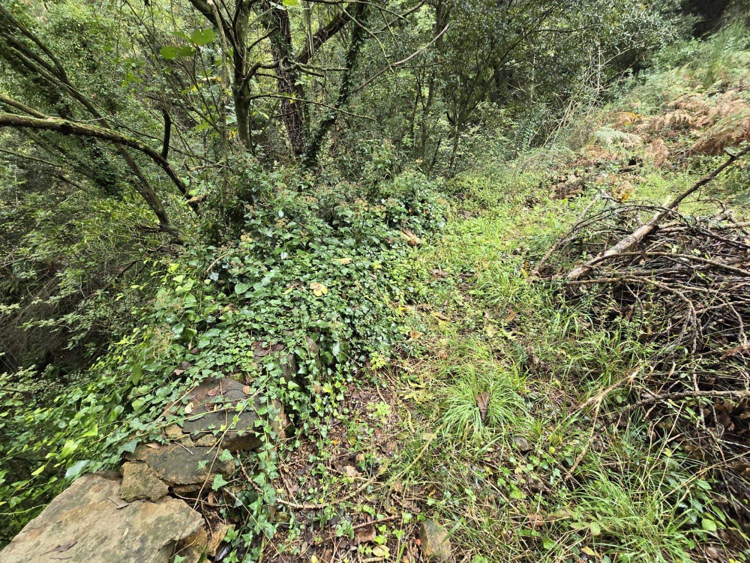 Terreno Não Urbanizado para venda em Susqueda - 169 000 € (Ref: 9645697)