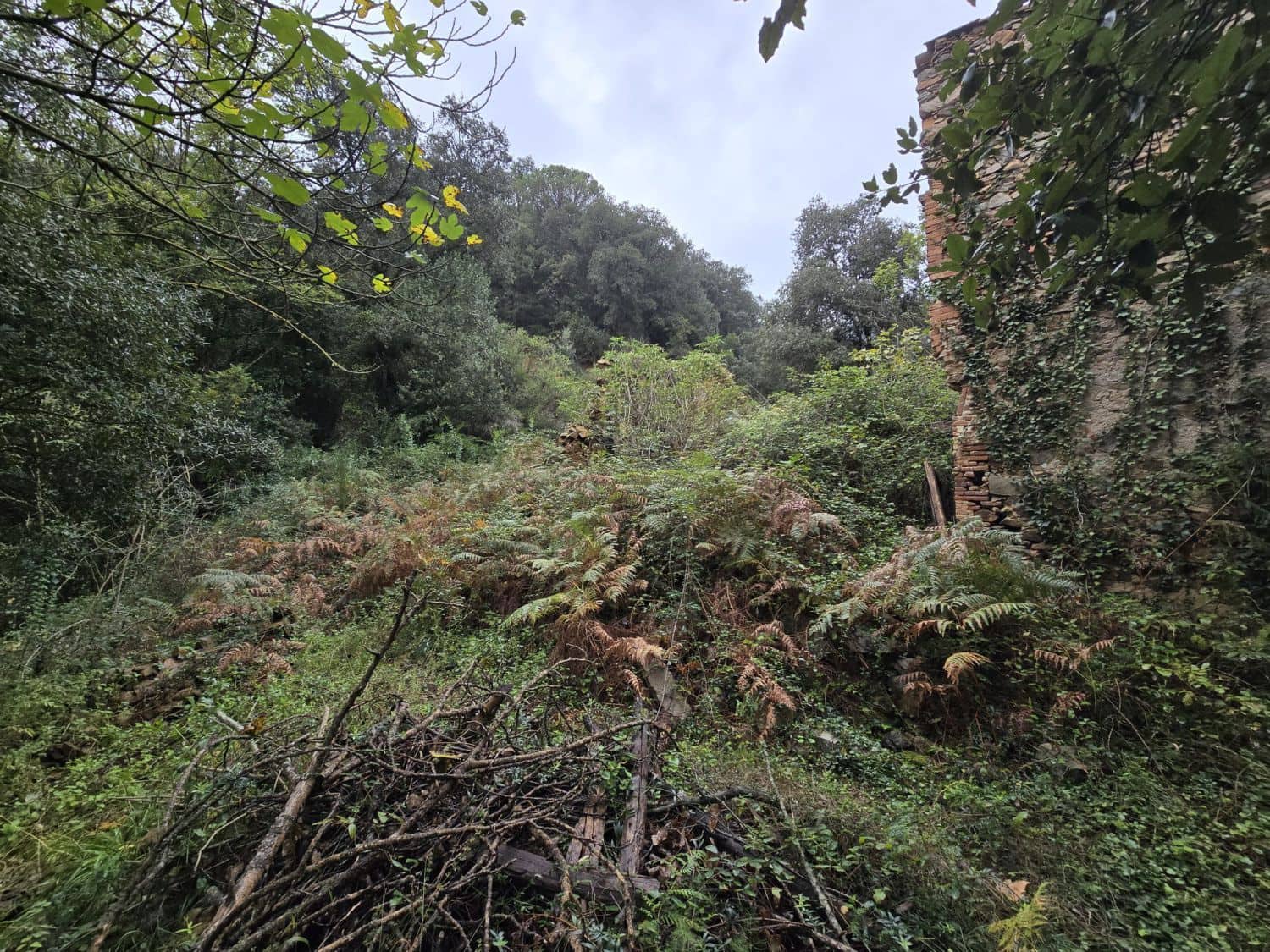 Undeveloped Land for sale in Susqueda - € 169,000 (Ref: 9645697)