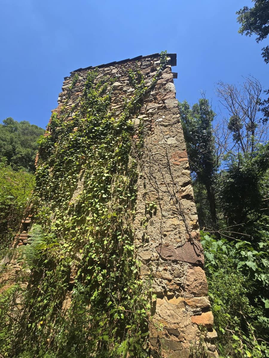 Undeveloped Land for sale in Susqueda - € 169,000 (Ref: 9645697)