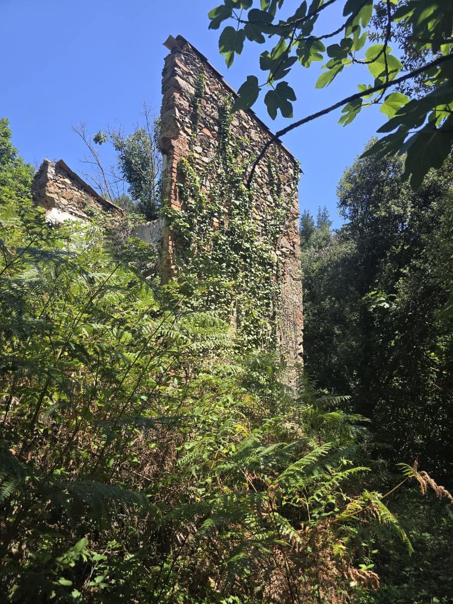 Undeveloped Land for sale in Susqueda - € 169,000 (Ref: 9645697)