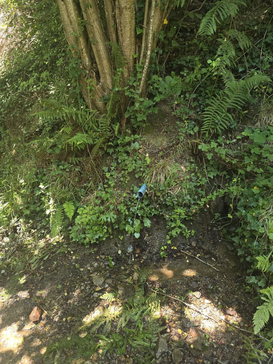 Undeveloped Land for sale in Susqueda - € 169,000 (Ref: 9645697)