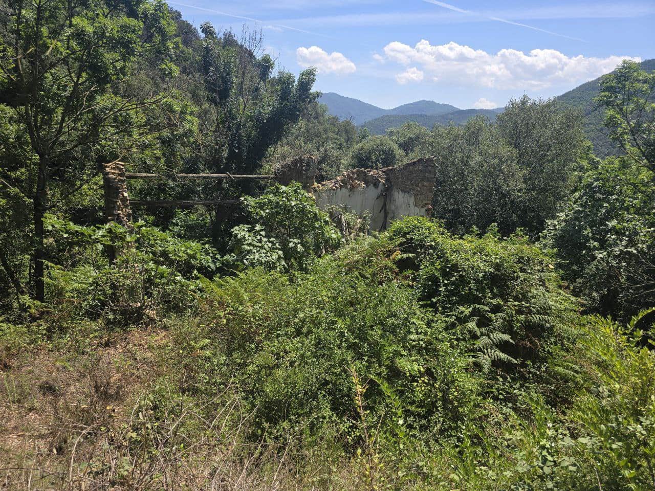 Undeveloped Land for sale in Susqueda - € 169,000 (Ref: 9645697)