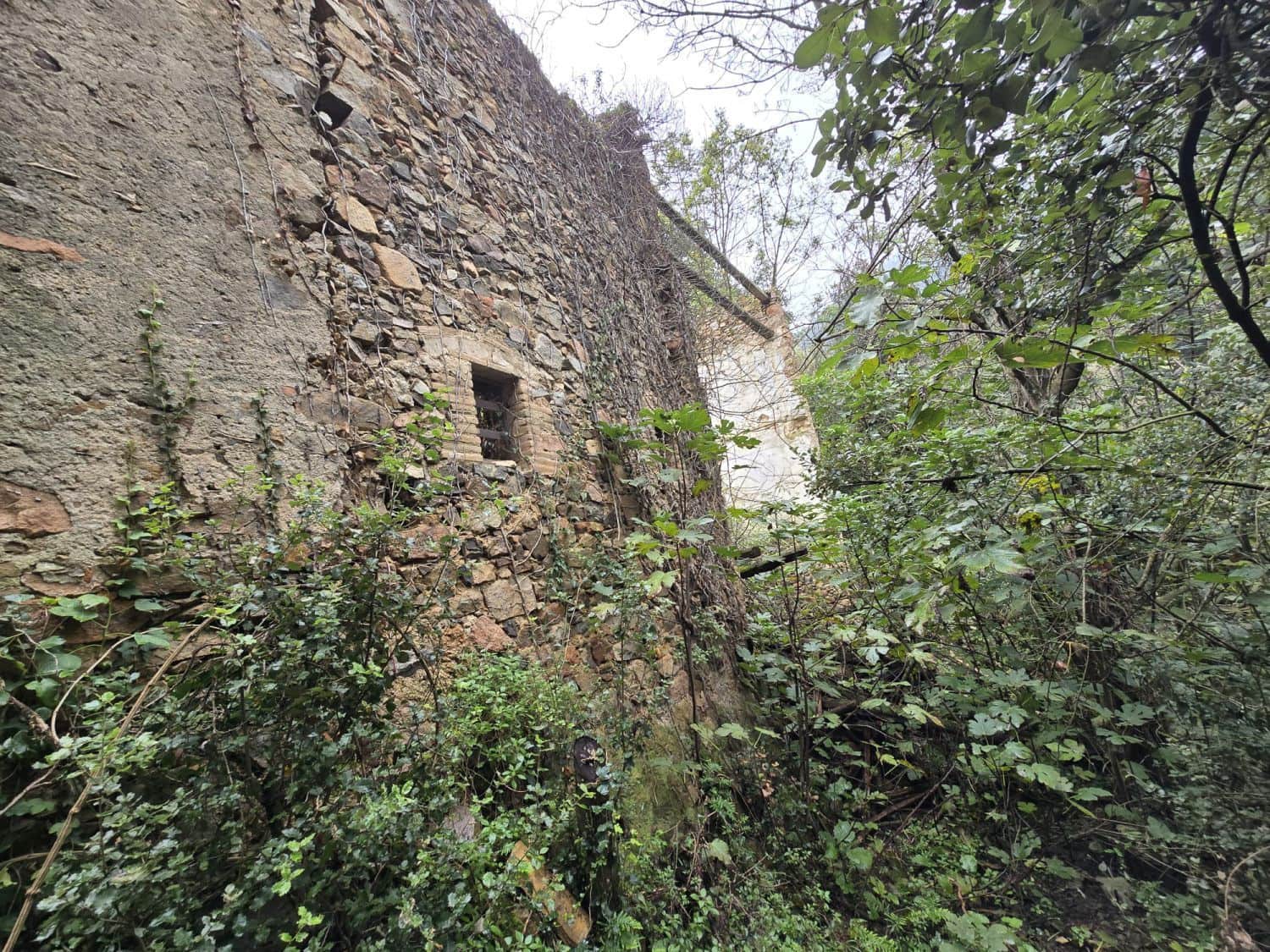 Undeveloped Land for sale in Susqueda - € 169,000 (Ref: 9645697)