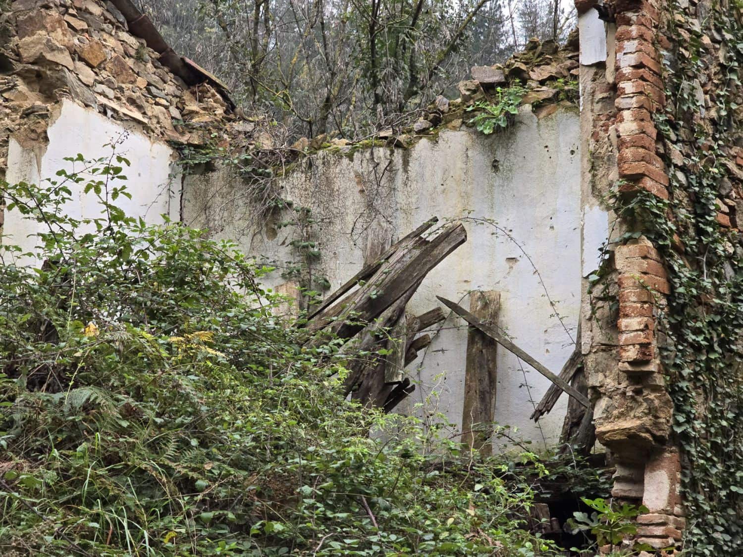 Undeveloped Land for sale in Susqueda - € 169,000 (Ref: 9645697)