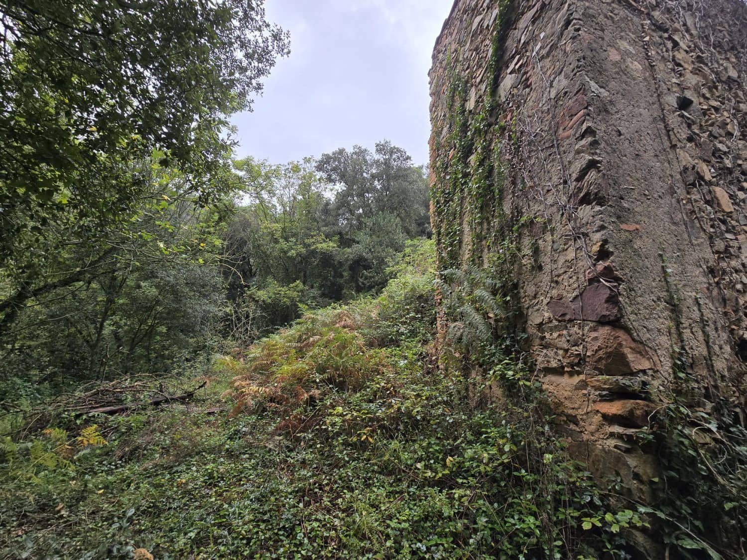 Undeveloped Land for sale in Susqueda - € 169,000 (Ref: 9645697)