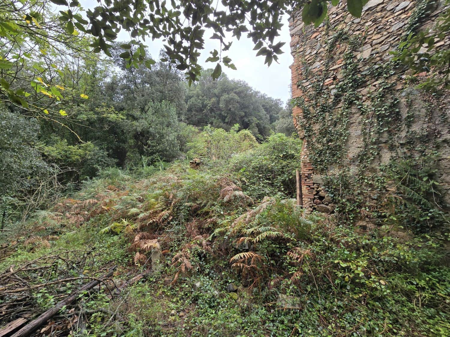 Undeveloped Land for sale in Susqueda - € 169,000 (Ref: 9645697)