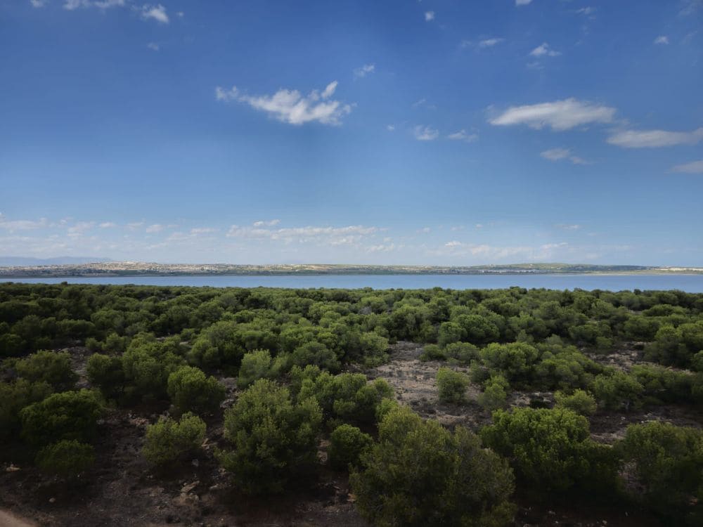 Apartamento de 3 habitaciones en Torrevieja en venta con piscina garaje - 149.000 € (Ref: 8021394)